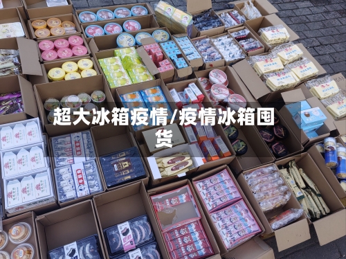 超大冰箱疫情/疫情冰箱囤货