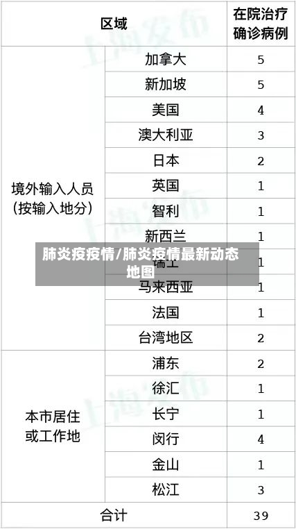 肺炎疫疫情/肺炎疫情最新动态地图-第2张图片
