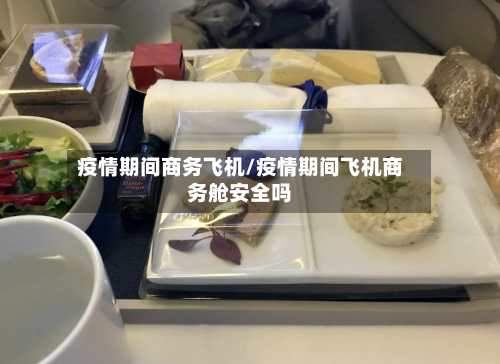疫情期间商务飞机/疫情期间飞机商务舱安全吗