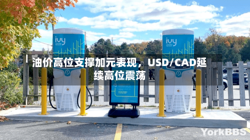 油价高位支撑加元表现，USD/CAD延续高位震荡