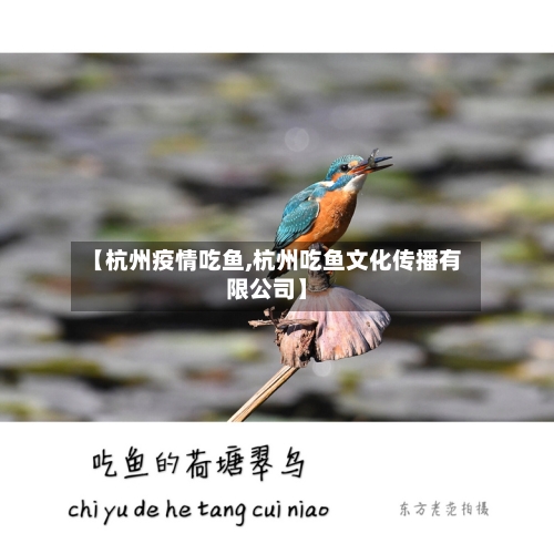 【杭州疫情吃鱼,杭州吃鱼文化传播有限公司】-第2张图片