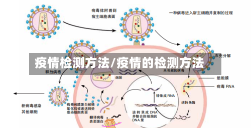 疫情检测方法/疫情的检测方法