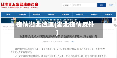 疫情湖北遣返(湖北疫情反扑)-第2张图片