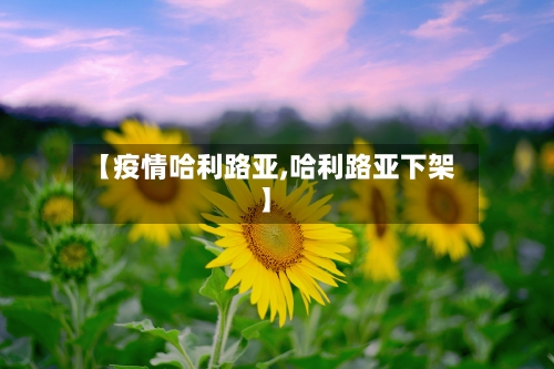 【疫情哈利路亚,哈利路亚下架】