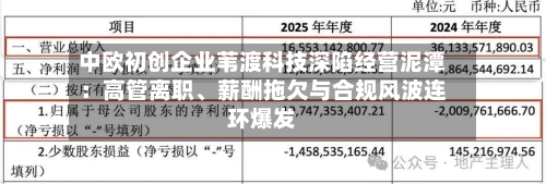 中欧初创企业苇渡科技深陷经营泥潭：高管离职、薪酬拖欠与合规风波连环爆发-第3张图片