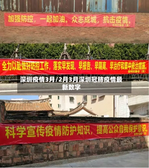 深圳疫情3月/2月3月深圳冠肺疫情最新数字