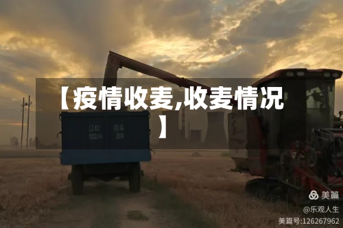 【疫情收麦,收麦情况】