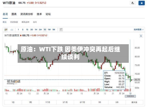 原油:WTI下跌 因美伊冲突再起后继续谈判-第3张图片