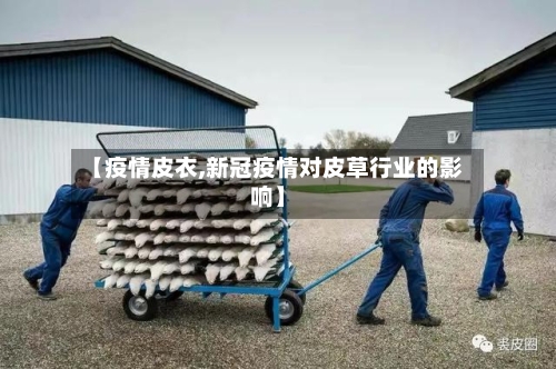 【疫情皮衣,新冠疫情对皮草行业的影响】-第3张图片
