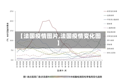 【法国疫情图片,法国疫情变化图】-第3张图片