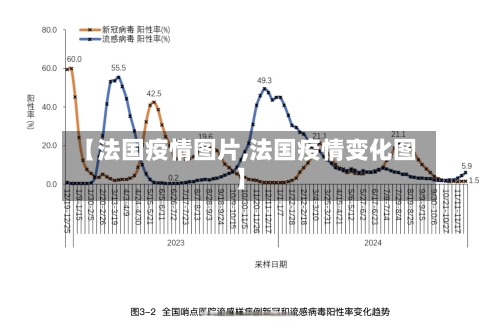 【法国疫情图片,法国疫情变化图】