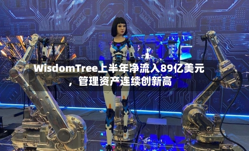 WisdomTree上半年净流入89亿美元	，管理资产连续创新高-第2张图片