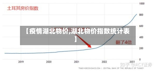【疫情湖北物价,湖北物价指数统计表】-第2张图片