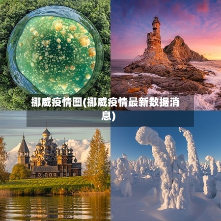 挪威疫情图(挪威疫情最新数据消息)