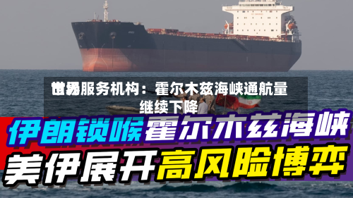 世界市场服务机构：霍尔木兹海峡通航量继续下降-第3张图片
