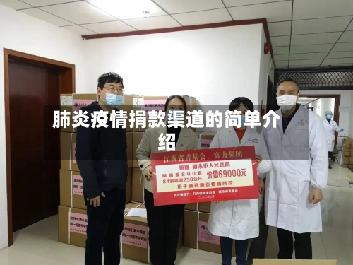 肺炎疫情捐款渠道的简单介绍-第3张图片