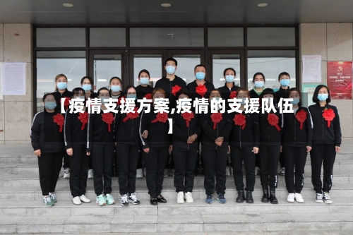 【疫情支援方案,疫情的支援队伍】-第3张图片
