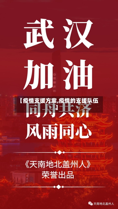 【疫情支援方案,疫情的支援队伍】-第2张图片