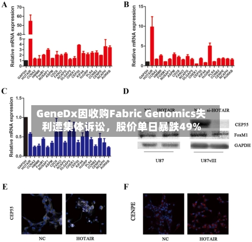 GeneDx因收购Fabric Genomics失利遭集体诉讼，股价单日暴跌49%