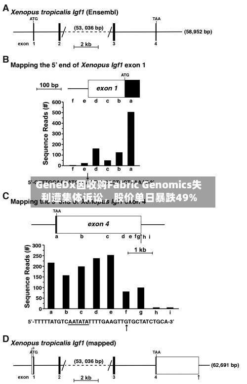 GeneDx因收购Fabric Genomics失利遭集体诉讼，股价单日暴跌49%-第2张图片