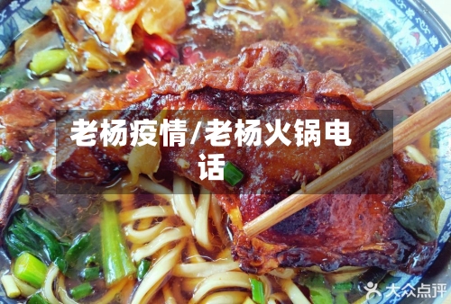 老杨疫情/老杨火锅电话