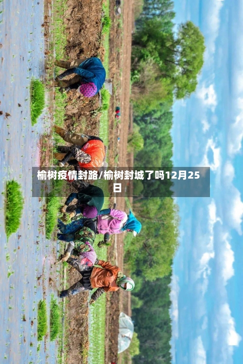 榆树疫情封路/榆树封城了吗12月25日-第2张图片