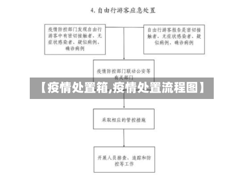 【疫情处置箱,疫情处置流程图】-第2张图片