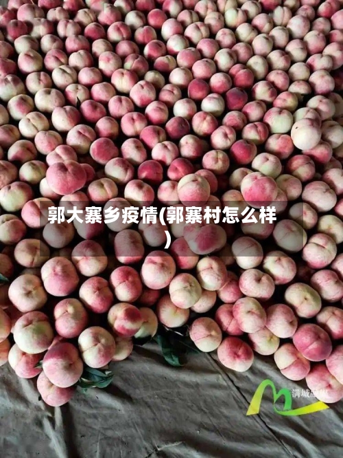郭大寨乡疫情(郭寨村怎么样)-第3张图片