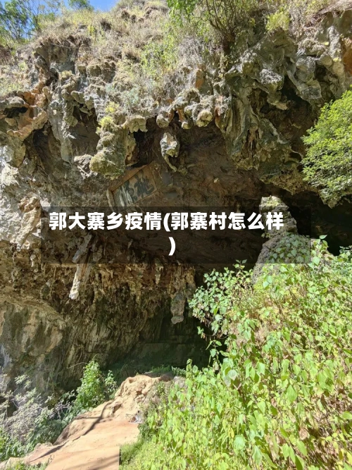 郭大寨乡疫情(郭寨村怎么样)-第2张图片