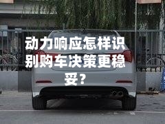 动力响应怎样识别购车决策更稳妥？-第2张图片