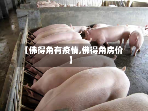 【佛得角有疫情,佛得角房价】
