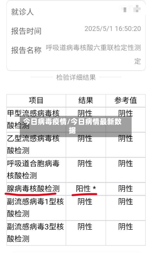 今日病毒疫情/今日病情最新数据-第2张图片
