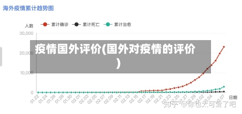 疫情国外评价(国外对疫情的评价)-第3张图片