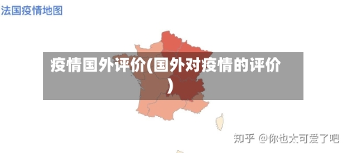 疫情国外评价(国外对疫情的评价)-第2张图片