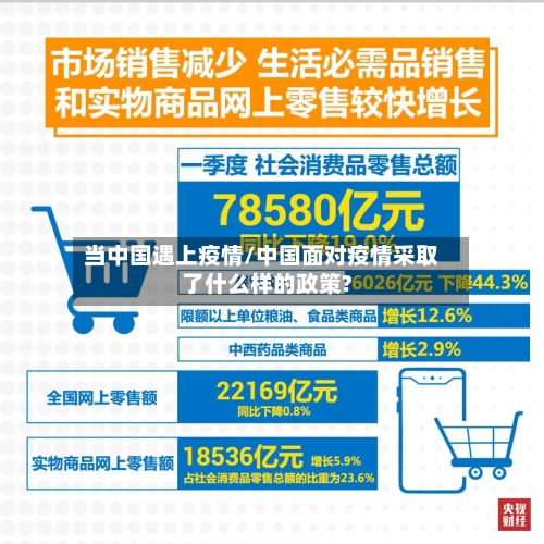 当中国遇上疫情/中国面对疫情采取了什么样的政策?