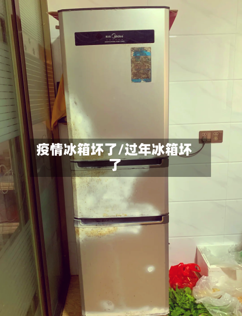 疫情冰箱坏了/过年冰箱坏了