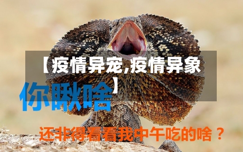 【疫情异宠,疫情异象】-第3张图片