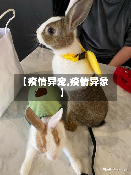 【疫情异宠,疫情异象】