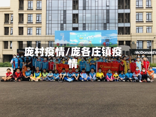 庞村疫情/庞各庄镇疫情-第2张图片