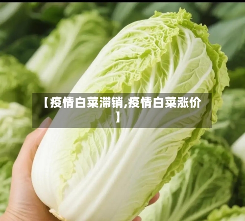 【疫情白菜滞销,疫情白菜涨价】