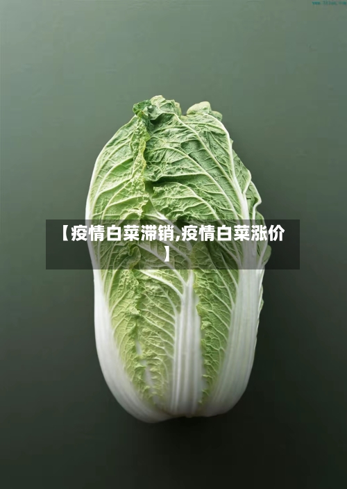 【疫情白菜滞销,疫情白菜涨价】-第2张图片