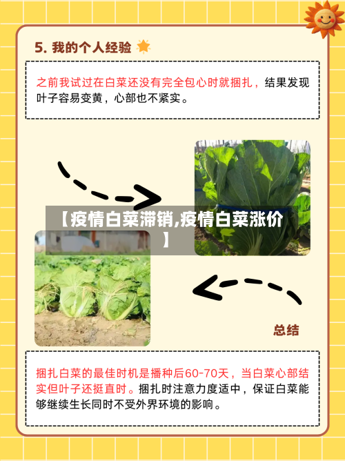 【疫情白菜滞销,疫情白菜涨价】-第3张图片