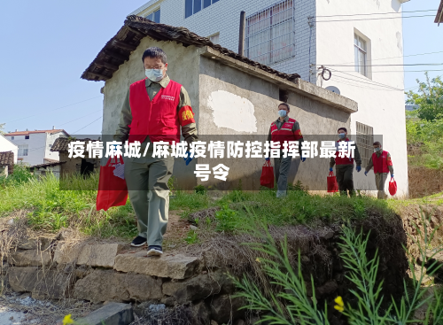 疫情麻城/麻城疫情防控指挥部最新号令-第2张图片