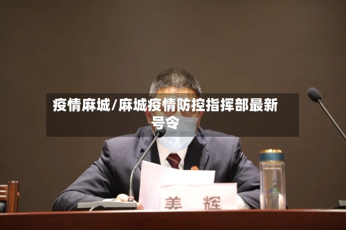 疫情麻城/麻城疫情防控指挥部最新号令-第3张图片