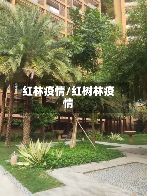 红林疫情/红树林疫情