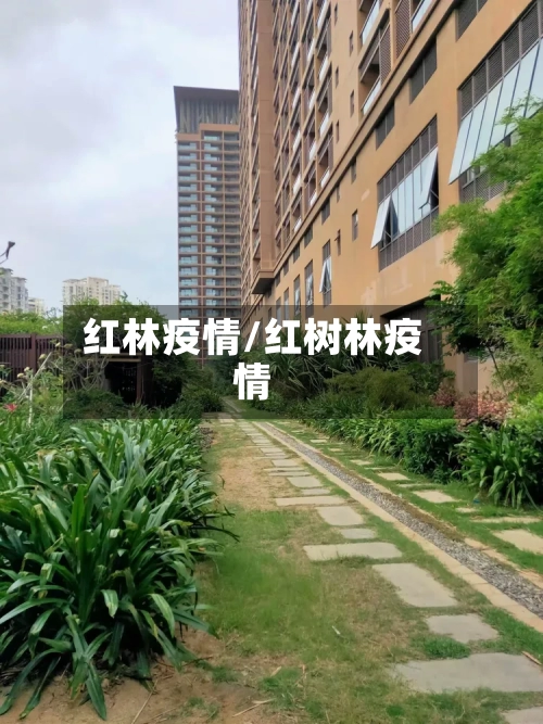 红林疫情/红树林疫情-第2张图片