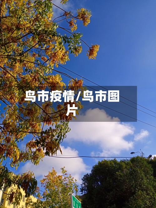 鸟市疫情/鸟市图片