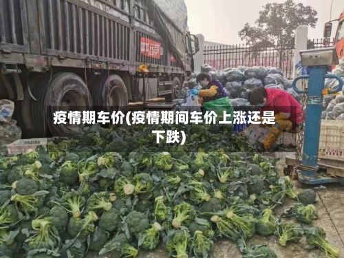 疫情期车价(疫情期间车价上涨还是下跌)