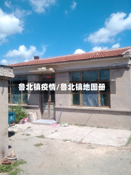 鲁北镇疫情/鲁北镇地图册-第3张图片