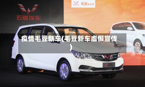 疫情毛豆新车(毛豆新车虚假宣传)